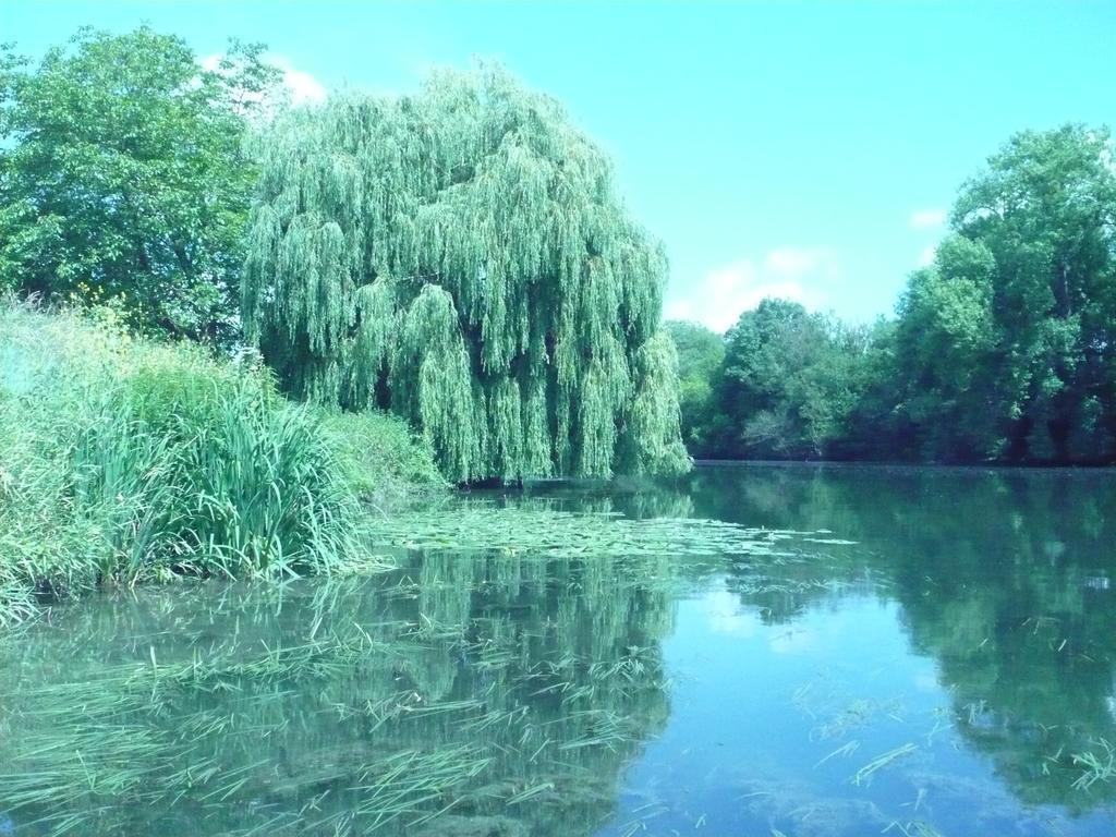 Le Havre De Bennecourt Exterior foto